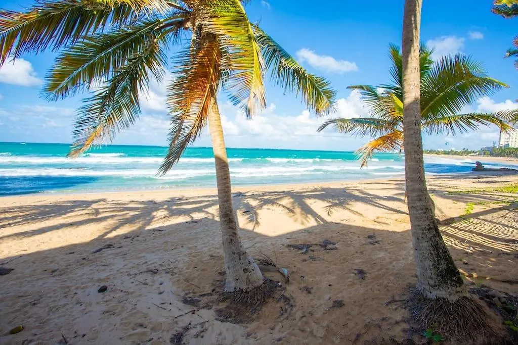 Condado Beach Organic Jewel King Size 산후안 0*,